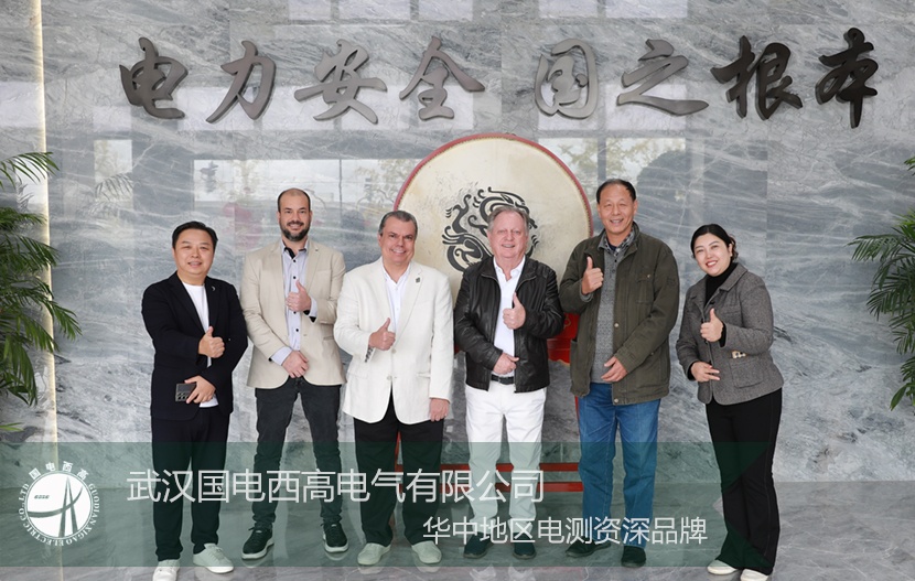 以實力為基,以誠意為橋:國電西高喜迎國際核心客戶深度探訪